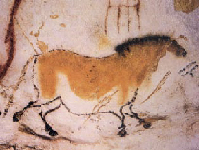 <p>Painting of a dun horse from Lascaux Cave. (Click on image to view larger.)</p>